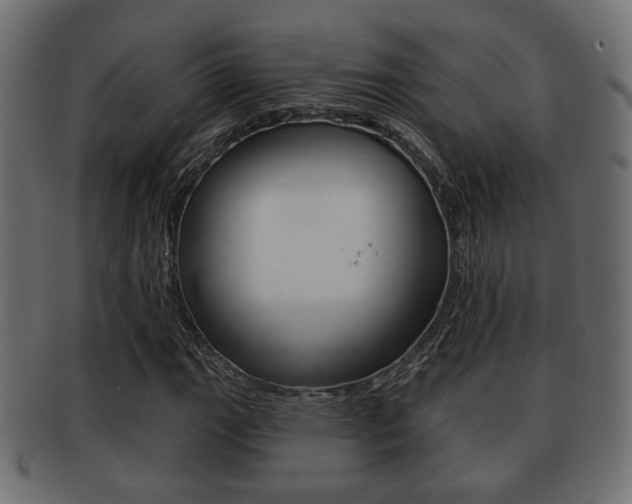 X0000091991111200709061215