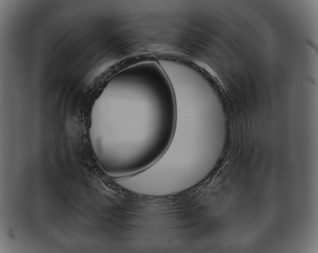 X0000091991112200709061215