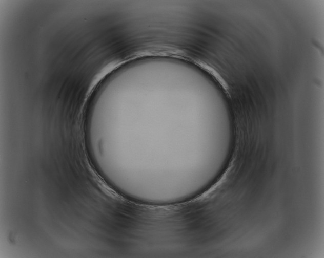 X0000091991114200709061215