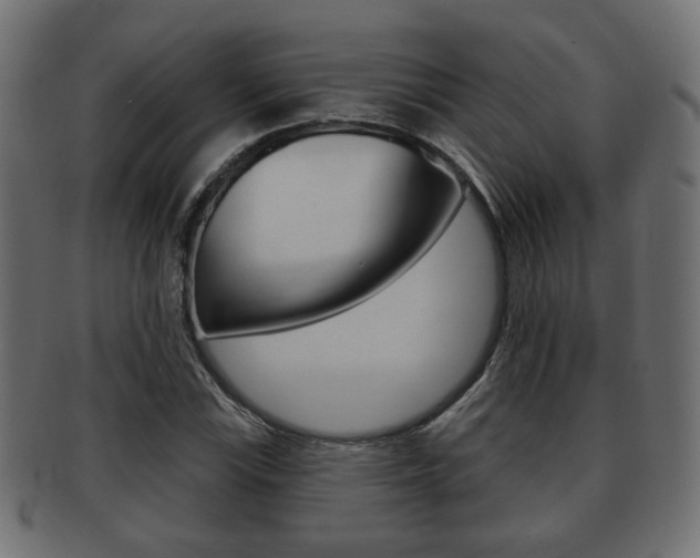 X0000091991115200709061215