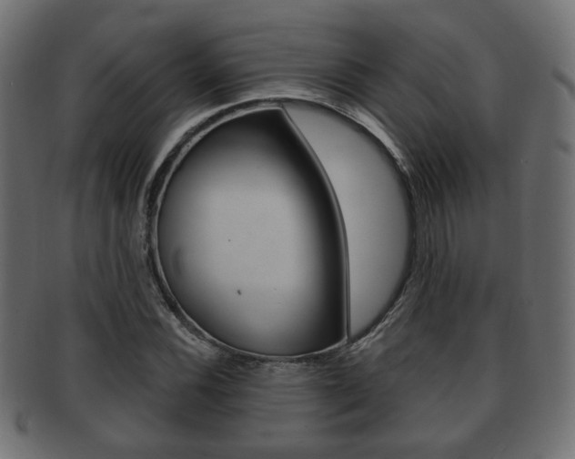 X0000091991116200709061215