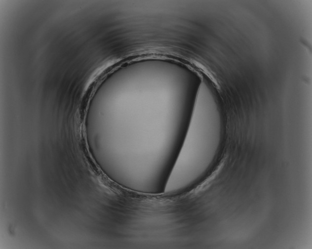 X0000091991117200709061215
