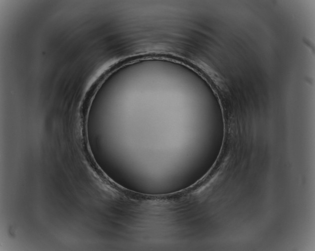 X0000091991118200709061215