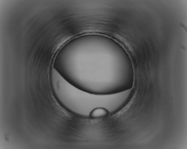 X0000091991121200709061215