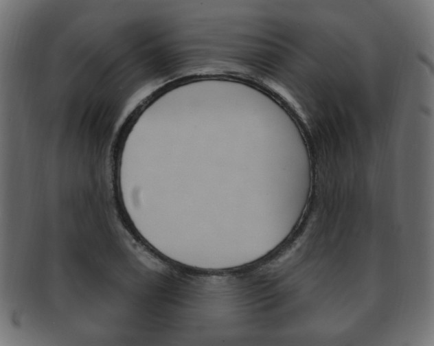 X0000091991122200709061215