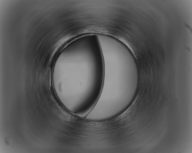 X0000091991123200709061215