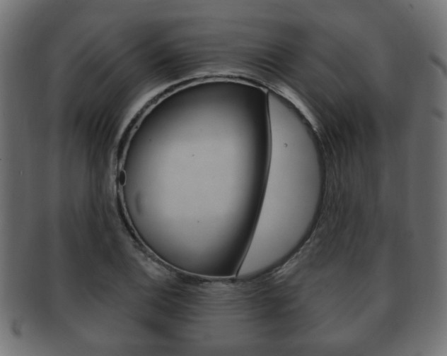 X0000091991124200709061215