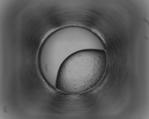 X0000091991125200709061215