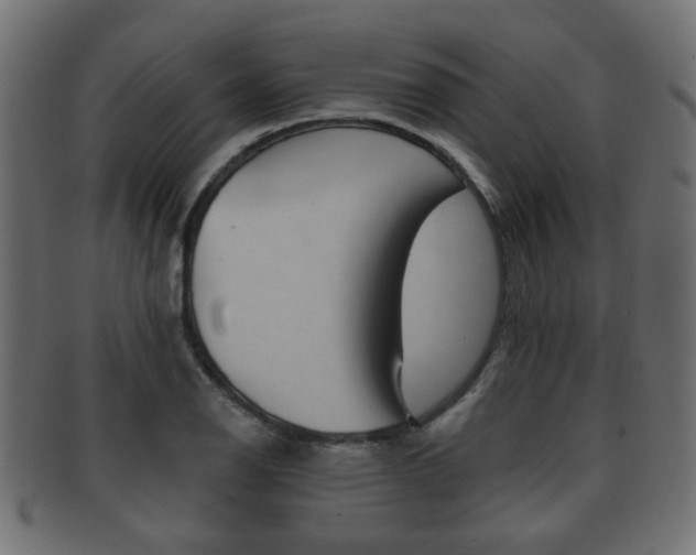 X0000091991126200709061215
