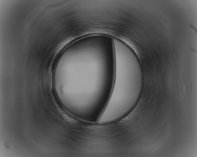 X0000091991127200709061215