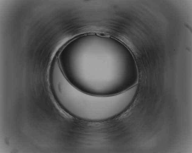 X0000091991128200709061215