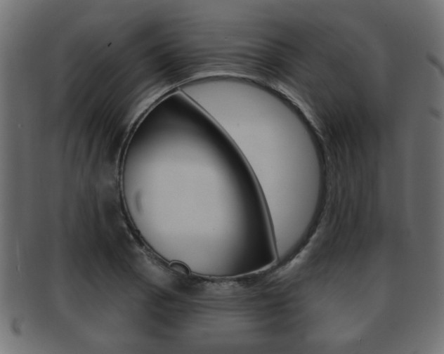 X0000091991129200709061215