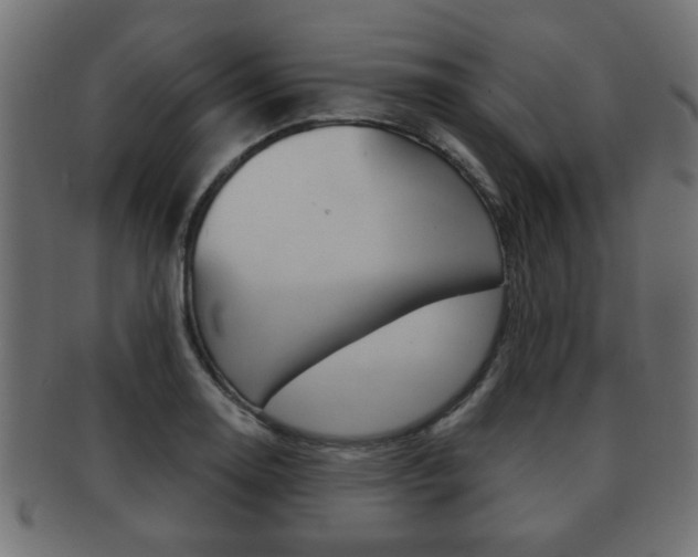 X0000091991130200709061215