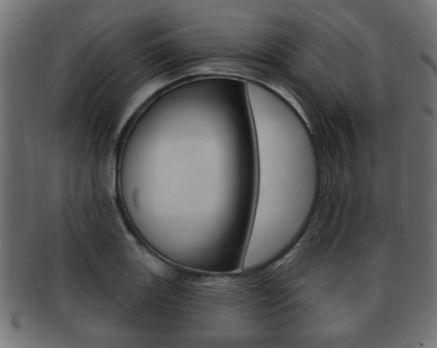 X0000091991131200709061215
