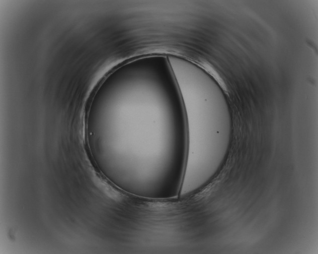 X0000091991132200709061215