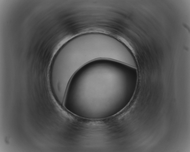 X0000091991133200709061215