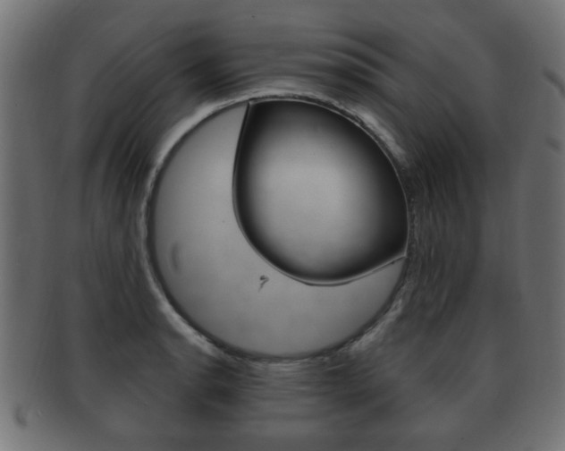 X0000091991134200709061215