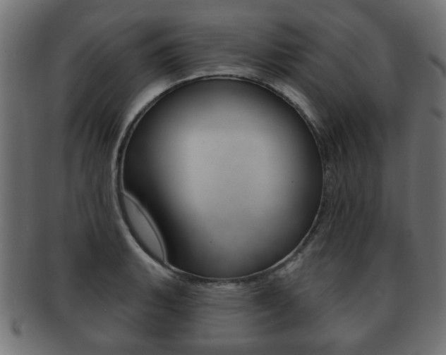 X0000091991135200709061215