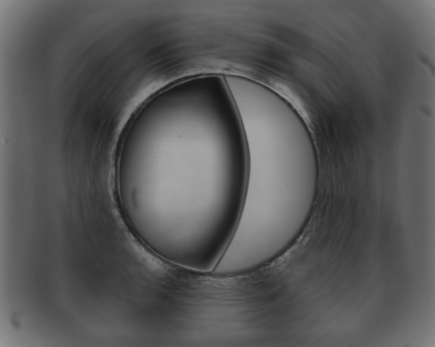 X0000091991136200709061215