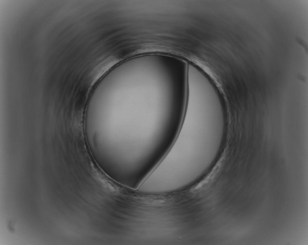 X0000091991137200709061215