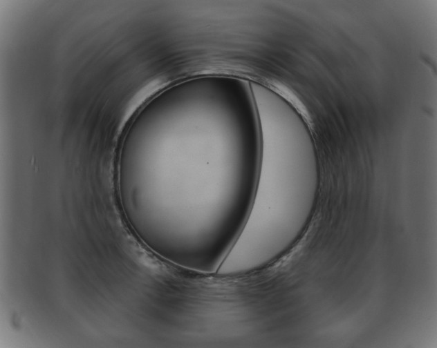 X0000091991138200709061215
