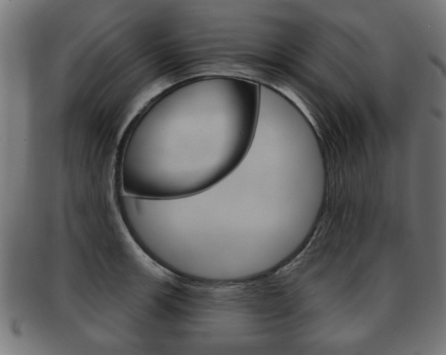 X0000091991139200709061215