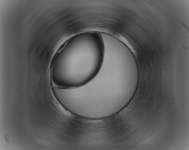 X0000091991140200709061215