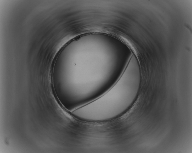 X0000091991141200709061215