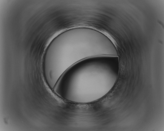 X0000091991142200709061215