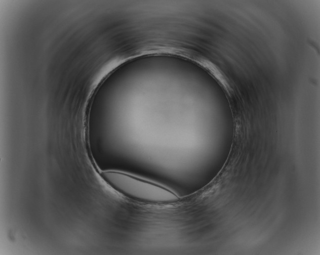 X0000091991143200709061215