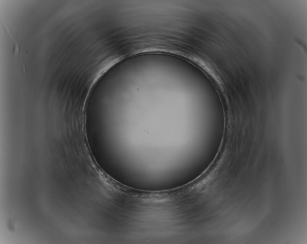 X0000091991145200709061215