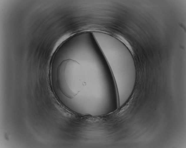 X0000091991146200709061215