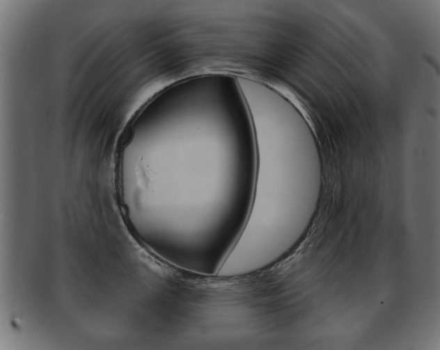X0000091991147200709061215