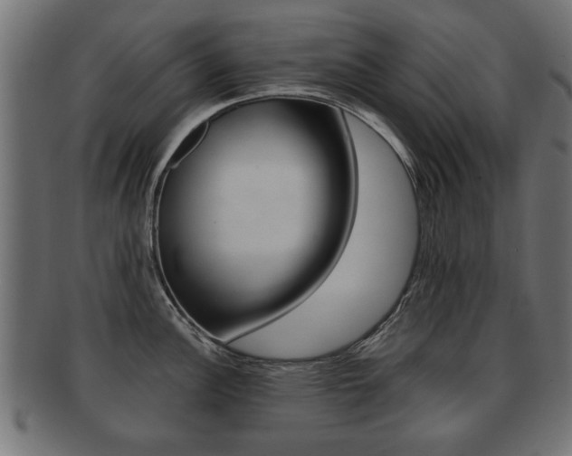 X0000091991148200709061215