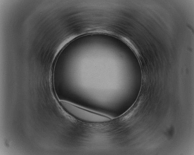 X0000091991149200709061215