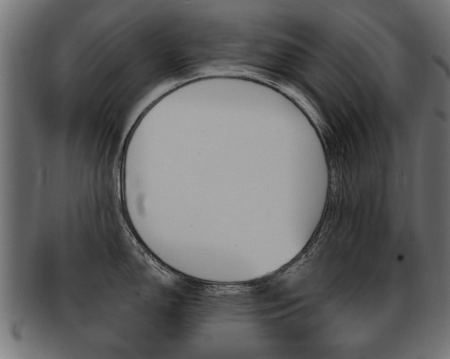 X0000091991150200709061215