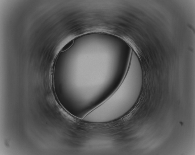 X0000091991151200709061215