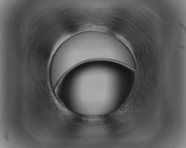 X0000091991152200709061215