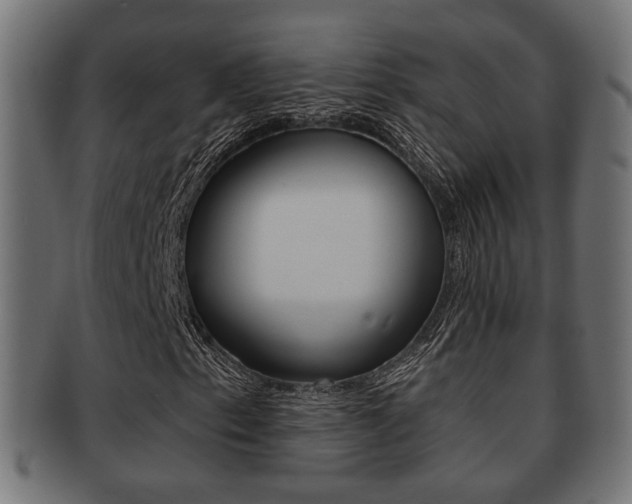 X0000091991153200709061215