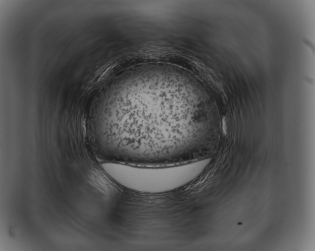 X0000091991155200709061214