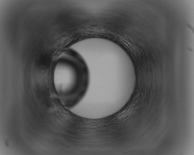 X0000091991156200709061214