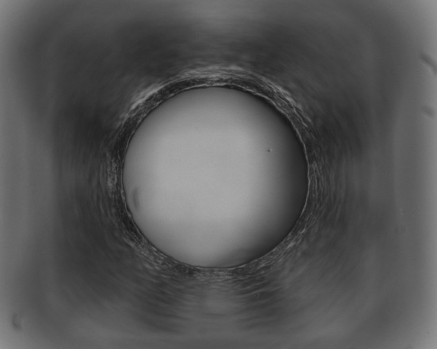 X0000091991158200709061214
