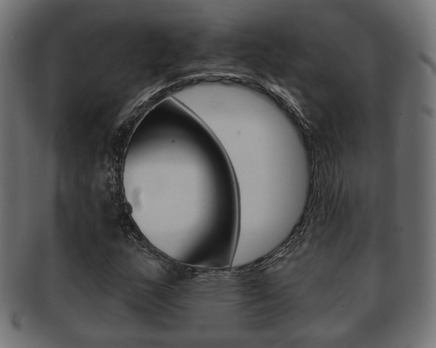 X0000091991159200709061214