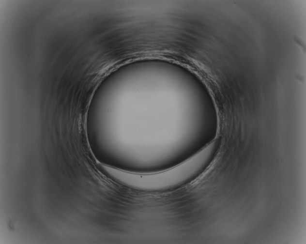 X0000091991161200709061214