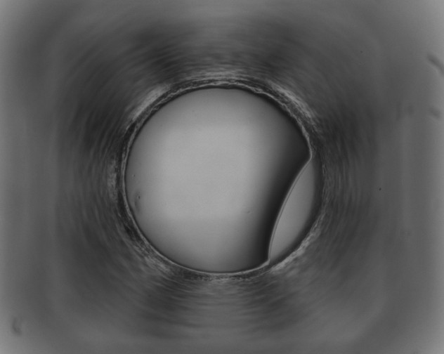 X0000091991162200709061214