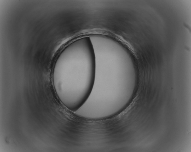 X0000091991166200709061214