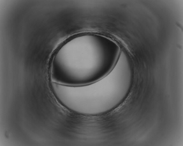 X0000091991168200709061214