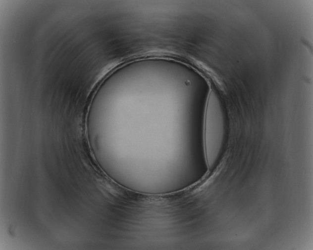 X0000091991170200709061214