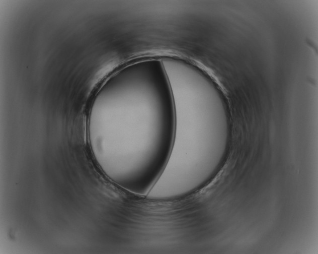 X0000091991171200709061214