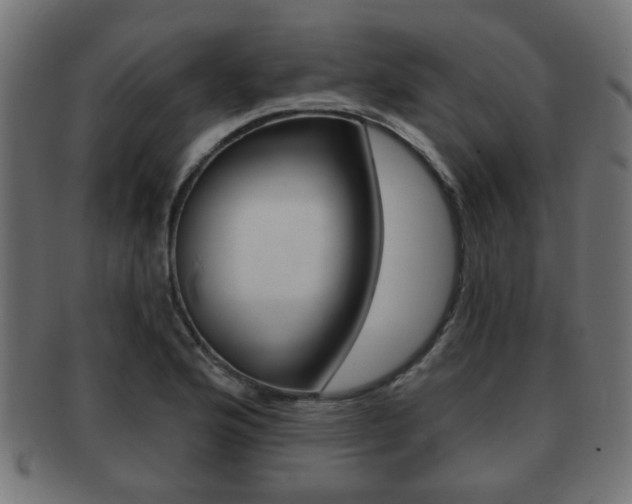 X0000091991176200709061214